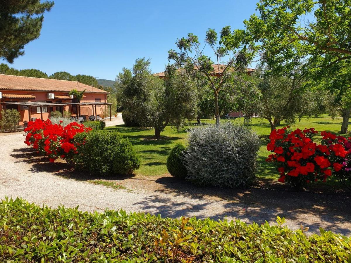 Agriturismo Fusini Мальяно-ін-Тоскана Екстер'єр фото