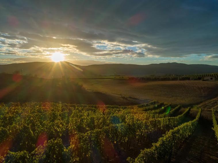 Agriturismo Fusini Мальяно-ін-Тоскана Екстер'єр фото