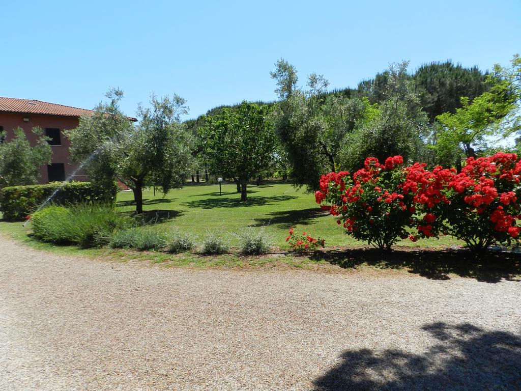Agriturismo Fusini Мальяно-ін-Тоскана Екстер'єр фото