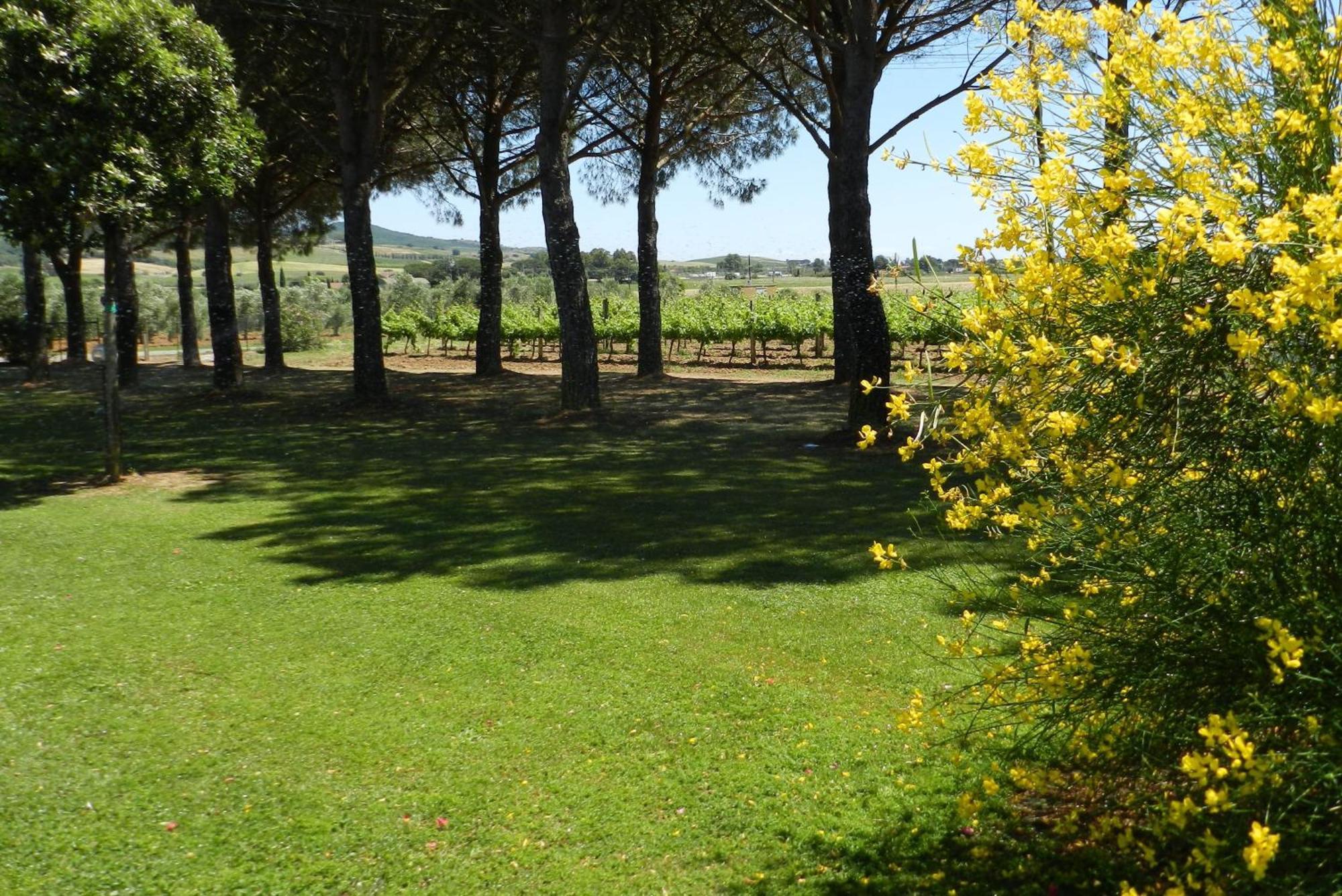 Agriturismo Fusini Мальяно-ін-Тоскана Екстер'єр фото