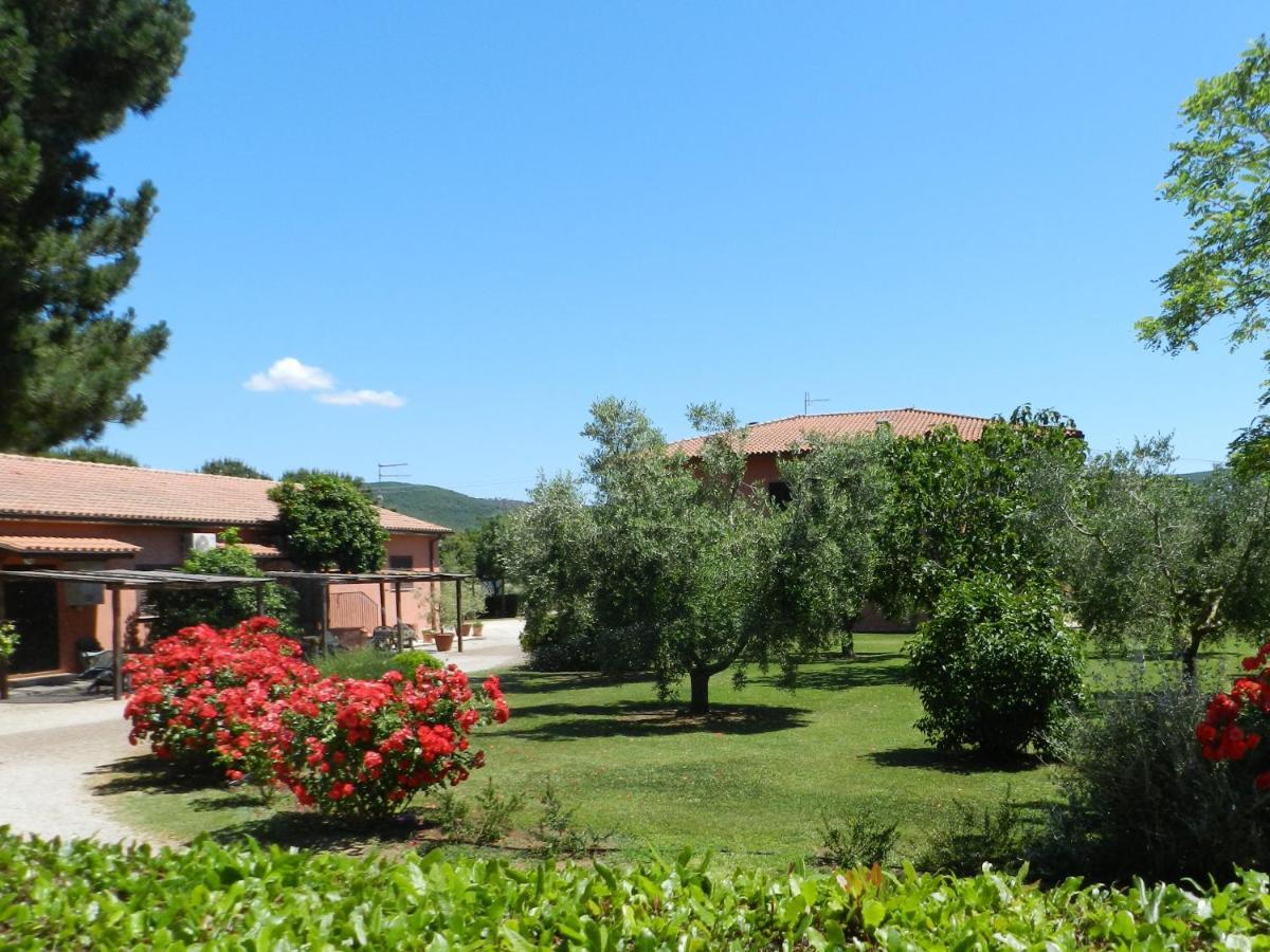 Agriturismo Fusini Мальяно-ін-Тоскана Екстер'єр фото