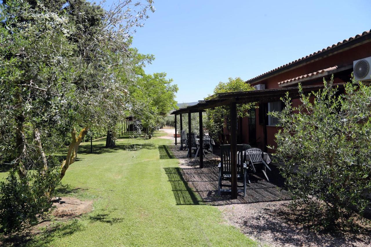 Agriturismo Fusini Мальяно-ін-Тоскана Екстер'єр фото